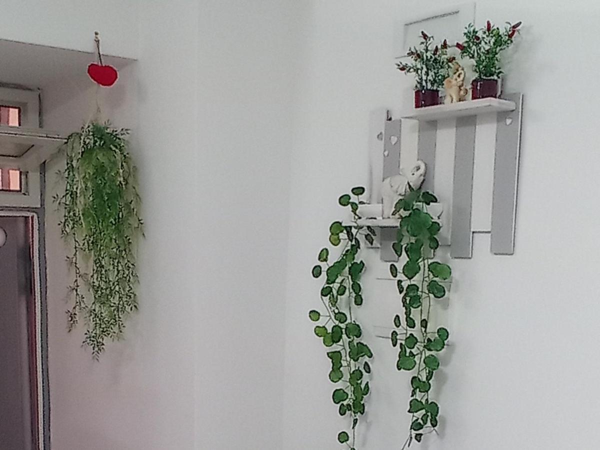 Nunzia'S House Napoli Apartment Екстериор снимка